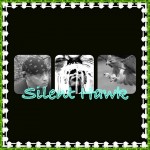 SilentHawk