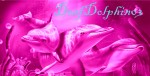 Deafdolphin03