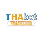 Thabet Ltd
