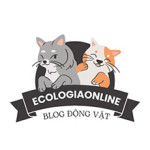 EcologiaOnline