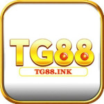 tg88ink