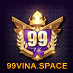 99vinaspace