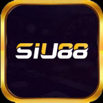 Siu88 blog
