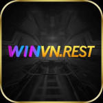 WINVN
