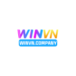 Winvncompany