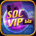 socvipbiz
