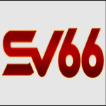 sv66beer
