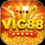 vic88online