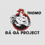 ĐÁ GÀ TRỰC TIẾP THOMO
