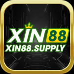 Xin88supply