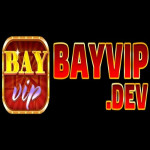 Bayvipdev