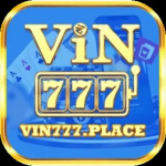 vin777place