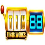 tin88works
