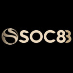 Soc88championhoodie