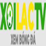 fondazionesabattini. it giả mạo