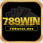 789wintdev