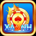 xanh9biz