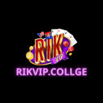 rikvipcollege