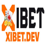 xibetdev