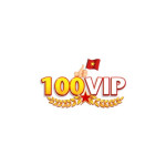 100vipwebsite