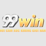 99windomains