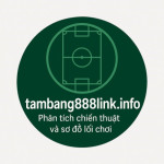 Tambang888linkinfo