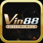 vin88aukcom