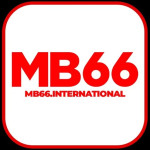 mb66international