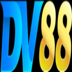 dv88netcom