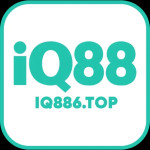 Iq886top