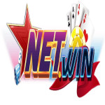 netwinukcom