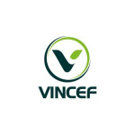VINCEF VN