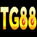 Tg88locker