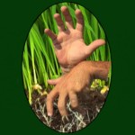 Deaf Grassroots Movement