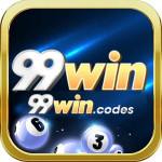 99wincodes