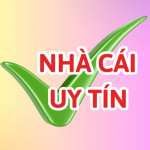 Nhacaiuytinclick