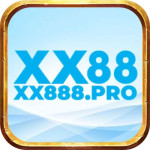 XX 88