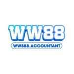WW888 Accountant