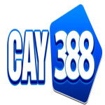 Cay388cam