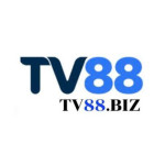 tv88
