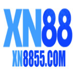 xn8855com
