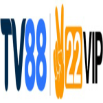 Tv88