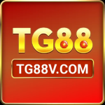 tg88vcom