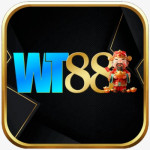 wt88info