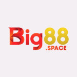 Nhà Cái BIG88