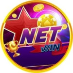 Netwinuscom