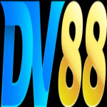 Dv88xnnet