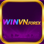 WINVN – Nền Tảng Cá Cược &amp; Đầu Tư Trực Tuyến Đa Dạng