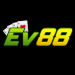 Ev88info
