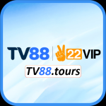 Tv88tours
